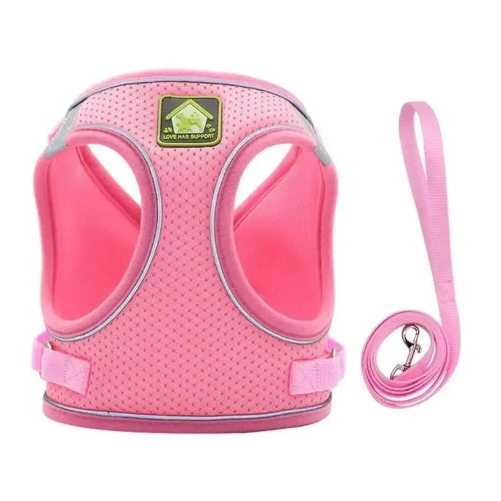 cat leash